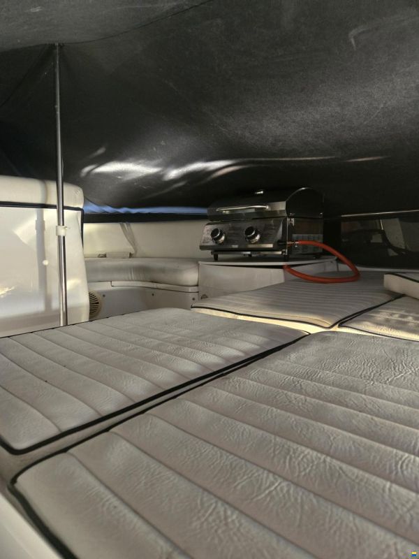 Sealine F 37