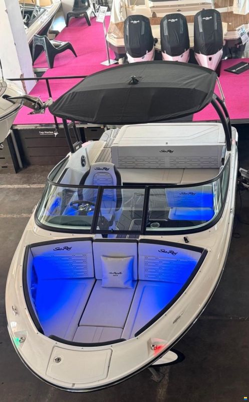 Sea Ray 190 RACING SPX SPN