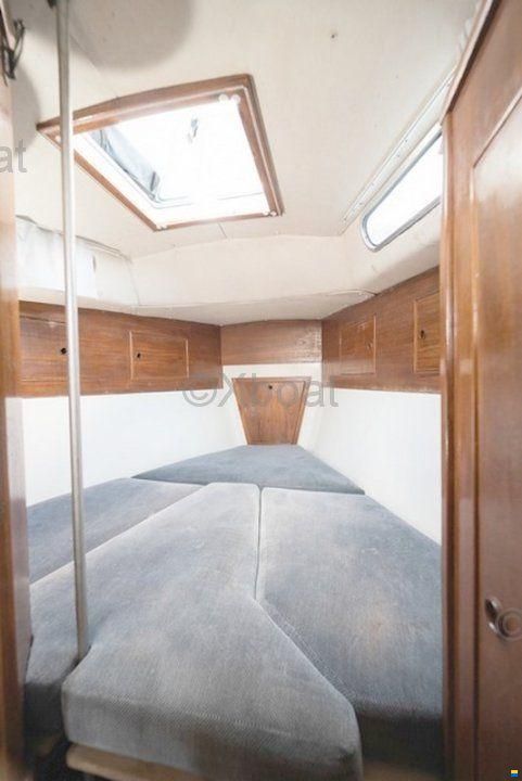 Trident VOYAGER 35
