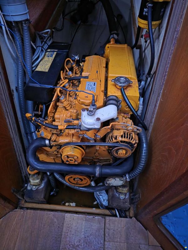 Wrighton Biloup 102