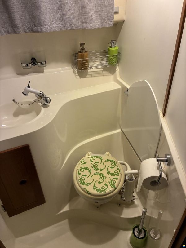 Marex Sun Cruiser 290