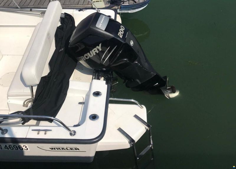 Boston Whaler MONTAUK 210