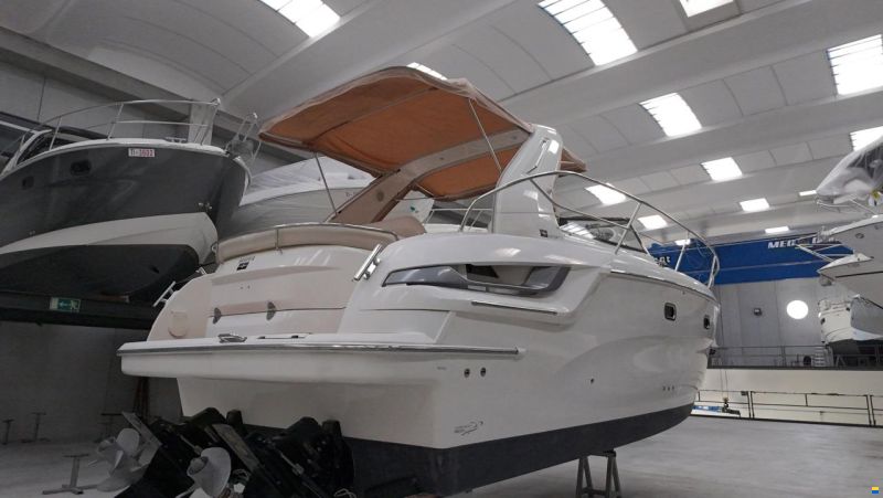 Bavaria Sport 31