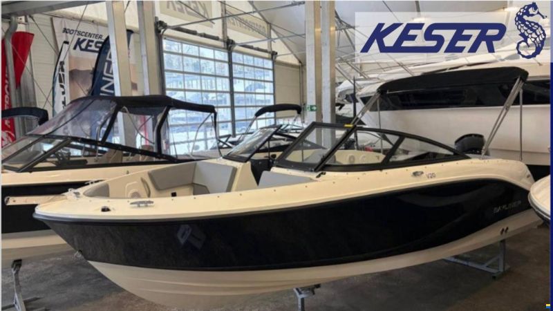 Bayliner V20