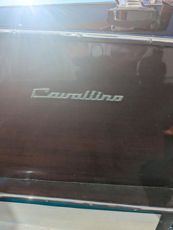 Pedrazzini 580