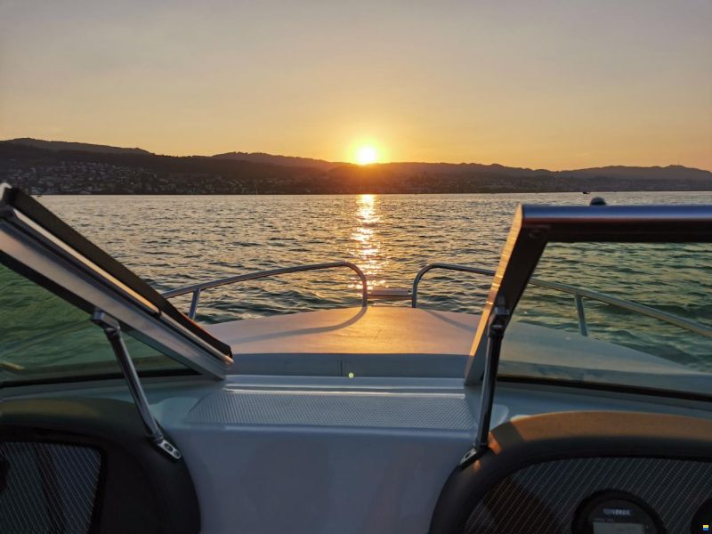 Hellwig Marathon V 485