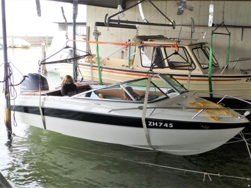 Hellwig Marathon V 485