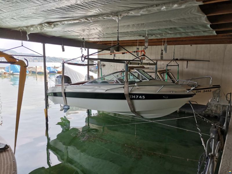 Hellwig Marathon V 485