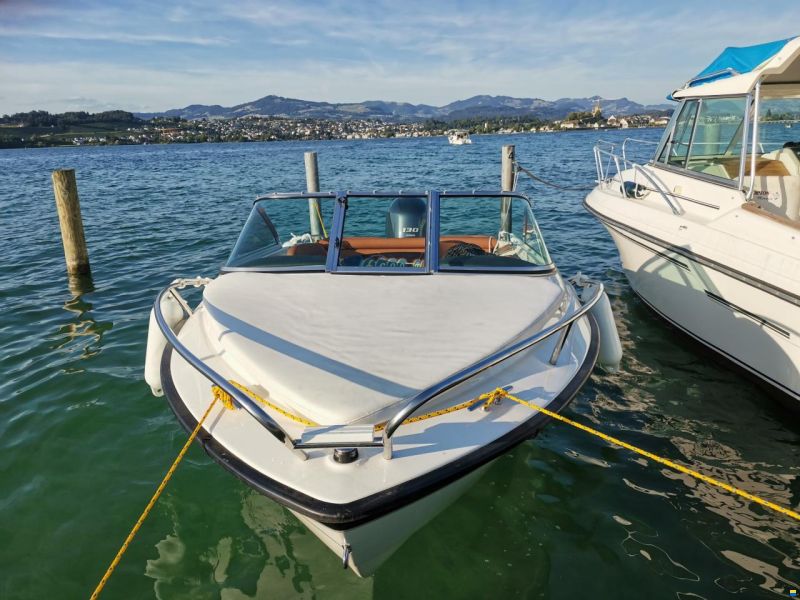 Hellwig Marathon V 485