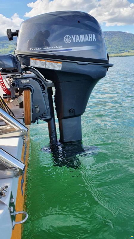 Maxi Dolphin Dolphin 81