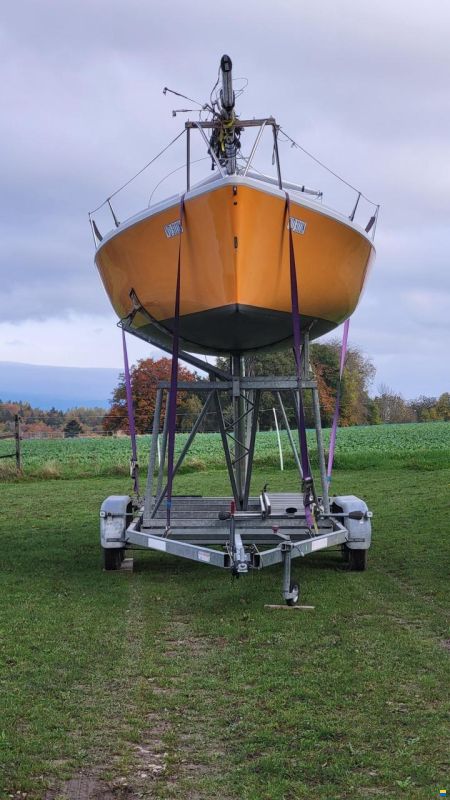 Maxi Dolphin Dolphin 81