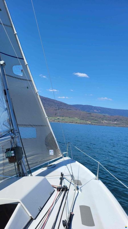 Maxi Dolphin Dolphin 81