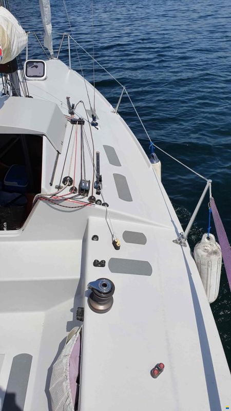 Maxi Dolphin Dolphin 81