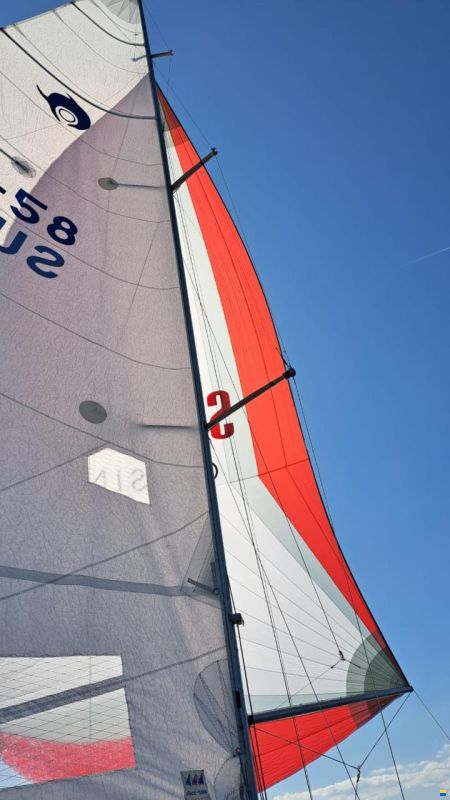 Maxi Dolphin Dolphin 81