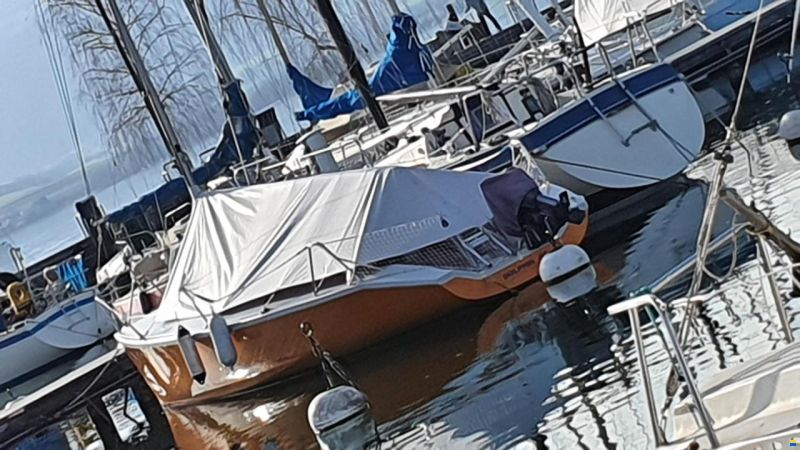 Maxi Dolphin Dolphin 81