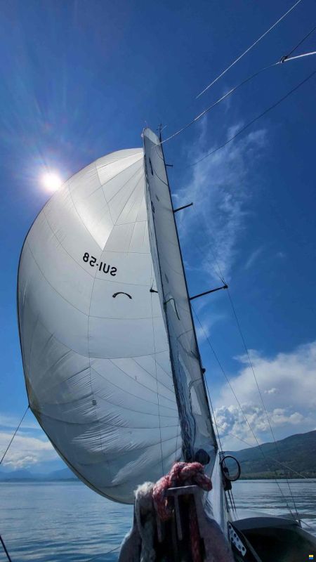 Maxi Dolphin Dolphin 81