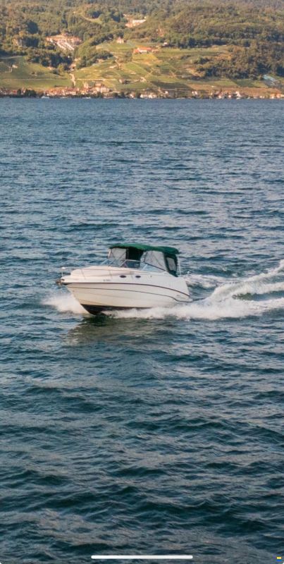 Chaparral 240 Signature