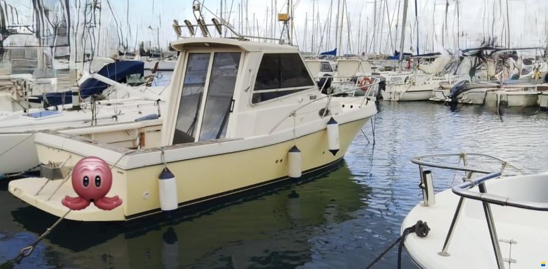 T24
