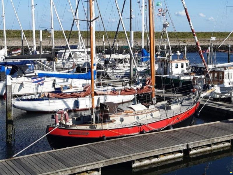 Danish Rose 31