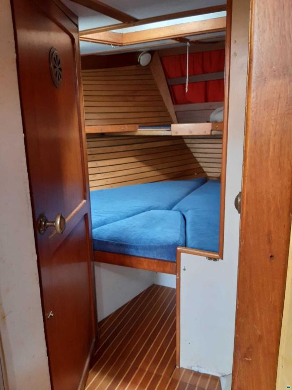 Danish Rose 31