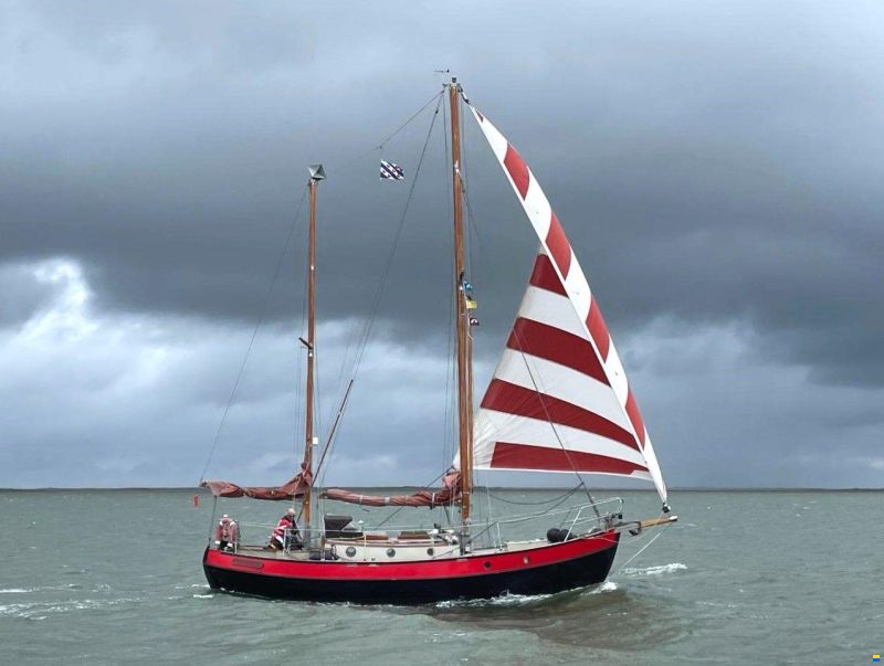 Danish Rose 31