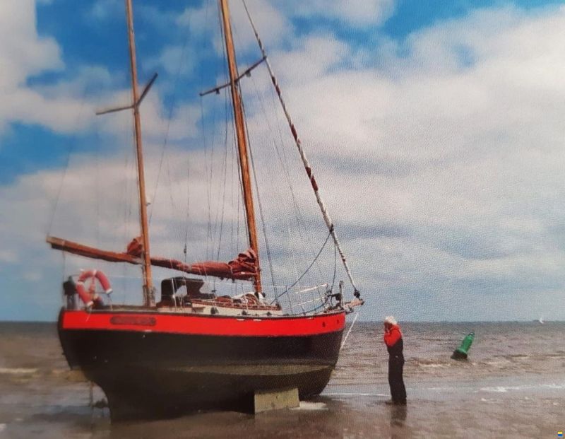 Danish Rose 31