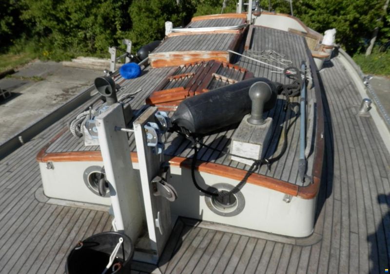 Danish Rose 31