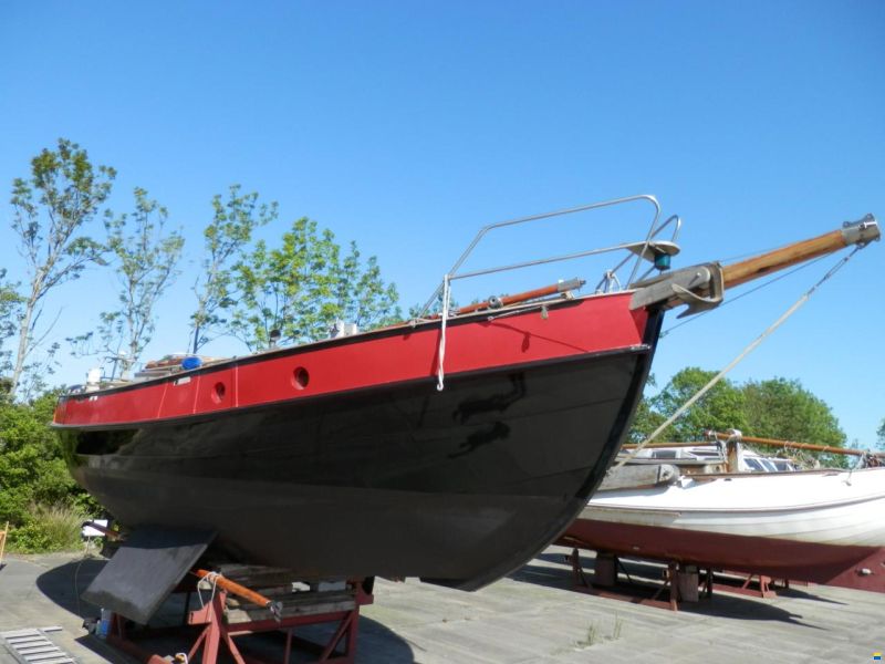 Danish Rose 31