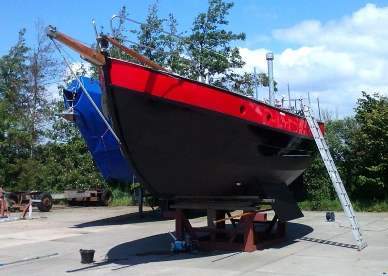 Danish Rose 31
