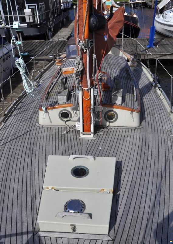 Danish Rose 31