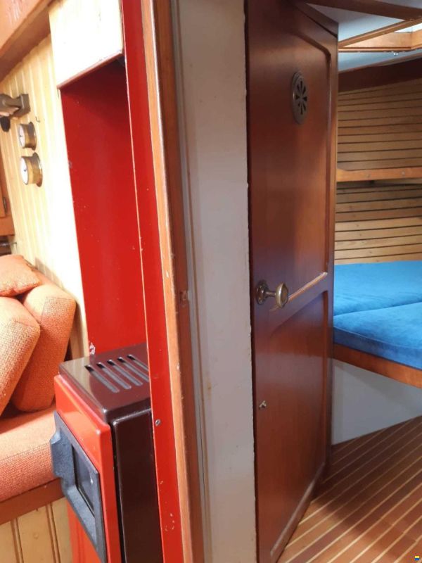 Danish Rose 31