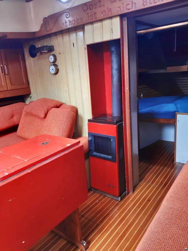 Danish Rose 31