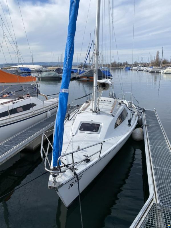 Archambault Surprise