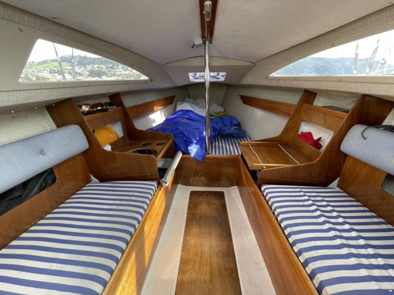 Archambault Surprise