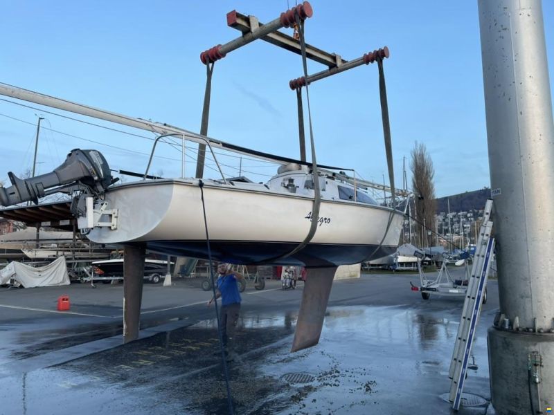 Archambault Surprise