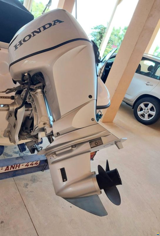 Ranieri Voyager 17