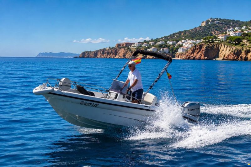 Ranieri Voyager 17