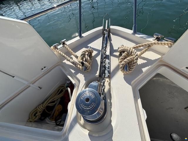 Princess F64