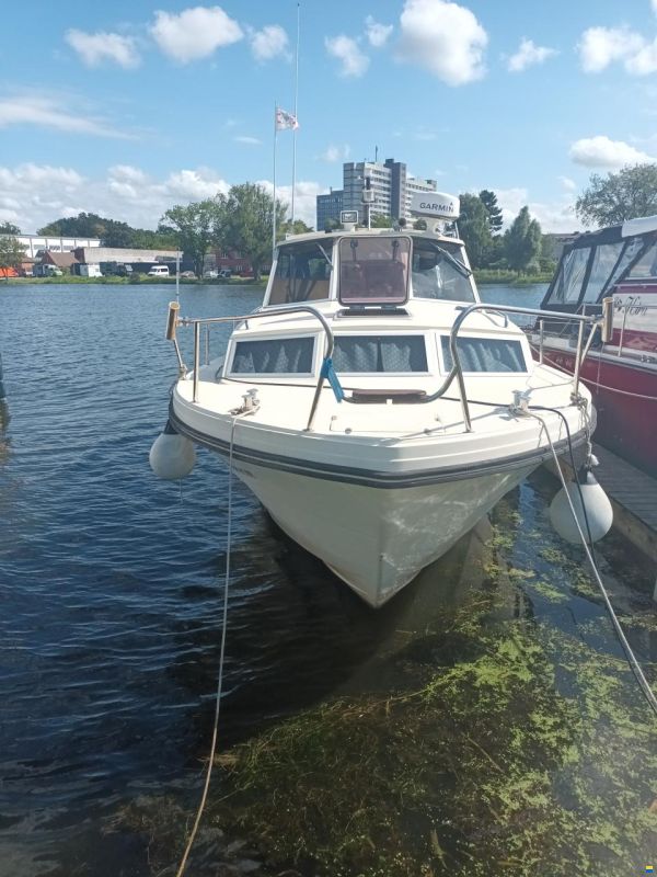Abegglen Salt&ouml;31