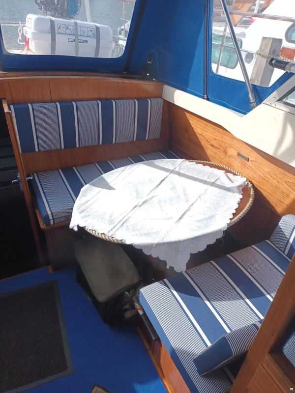 Abegglen Saltö31
