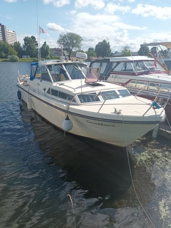 Abegglen Salt&ouml;31