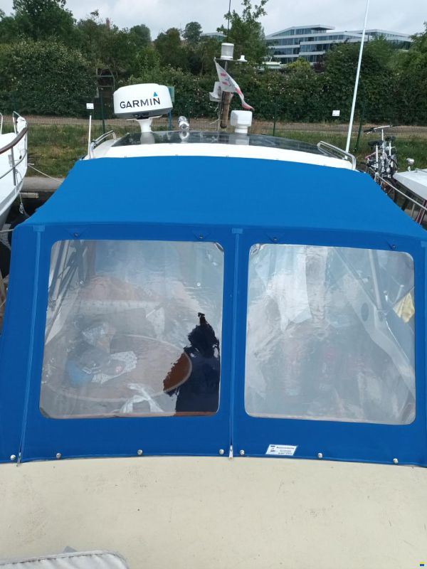 Abegglen Saltö31