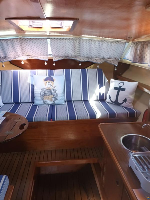 Abegglen Saltö31