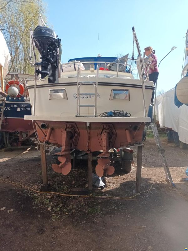 Abegglen Saltö31