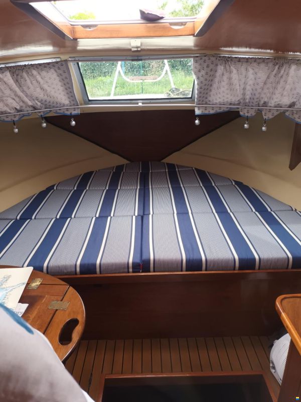 Abegglen Saltö31