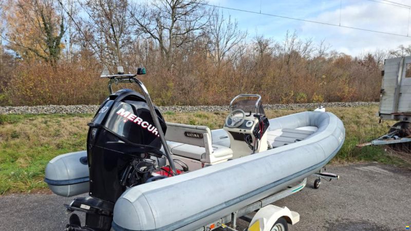 Valiant Vanguard 490