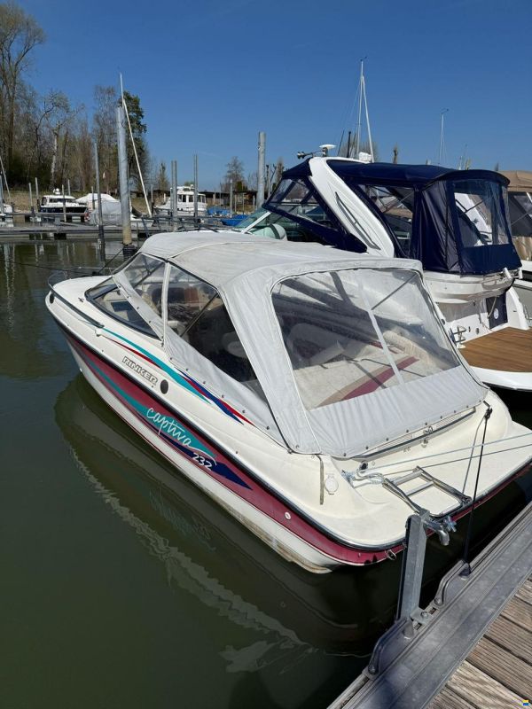 Rinker 232 Captiva Cuddy