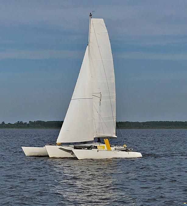 Tennant Sylph