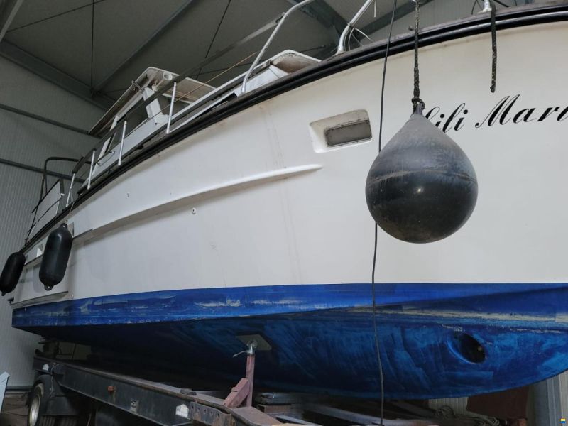 Cytra Ambassador 38