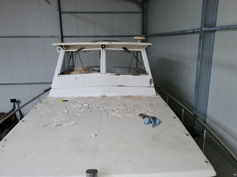 Cytra Ambassador 38